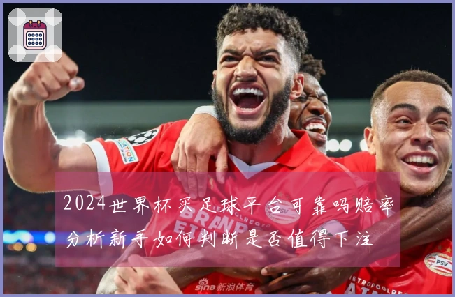 2024世界杯买足球平台可靠吗赔率分析新手如何判断是否值得下注