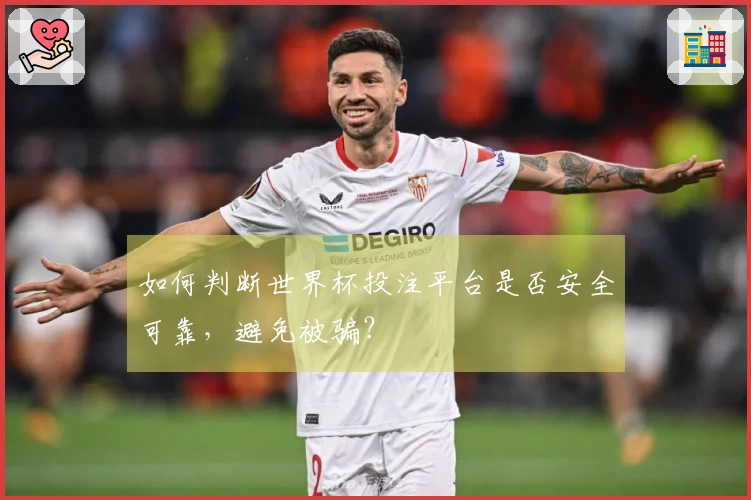 如何判断世界杯投注平台是否安全可靠，避免被骗？