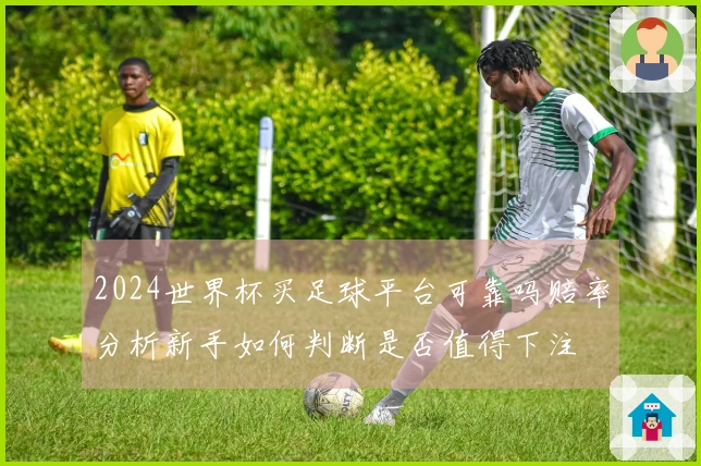 2024世界杯买足球平台可靠吗赔率分析新手如何判断是否值得下注