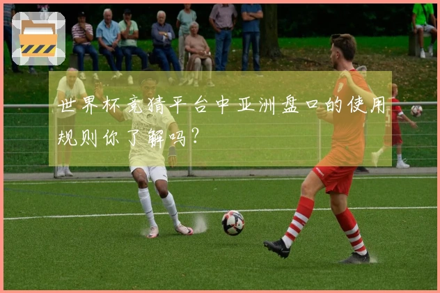 世界杯竞猜平台中亚洲盘口的使用规则你了解吗？