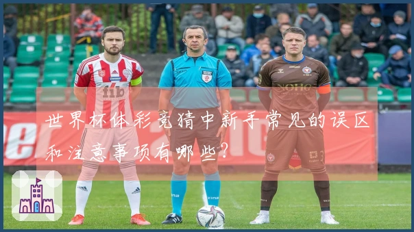 世界杯体彩竞猜中新手常见的误区和注意事项有哪些？