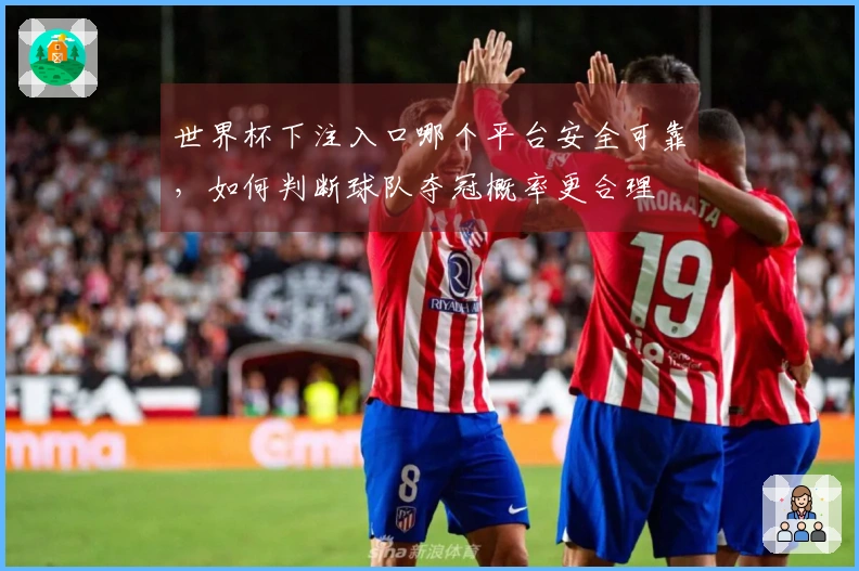 世界杯下注入口哪个平台安全可靠，如何判断球队夺冠概率更合理